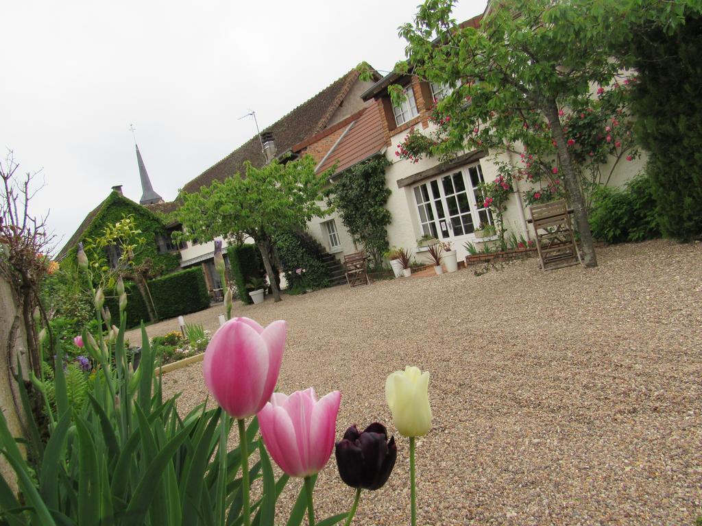 Auberge Du Grand Dauphin Dhuizon Luaran gambar